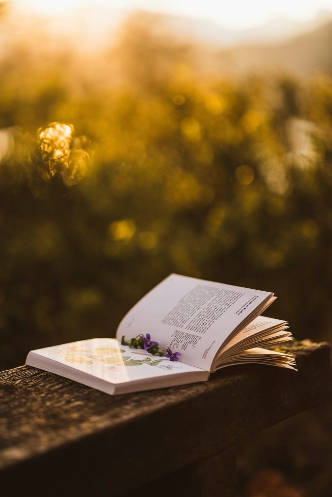 maria-ilves-naWMjRS6KIk-unsplash